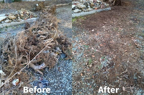 sendai-benriya-stump-root-cleanup-before-after-202512.jpg.jpg