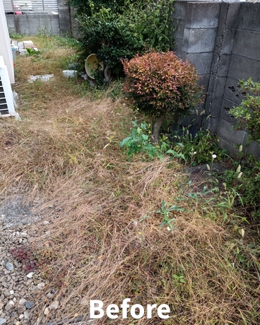 sendai-benriya-weeding-work-yard-cleanup-before.jpg.jpg