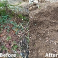 宮城県内で庭仕事・伐根のご依頼｜リピーター様の作業事例をご紹介