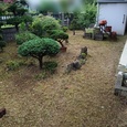 【便利屋 仙台】庭の草刈りのご依頼｜仙台市太白区でご実家のお庭をきれいにしました