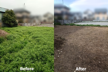 仙台市内・近郊の広い敷地一面に伸びた雑草を便利屋が草刈りして整理したビフォーアフター