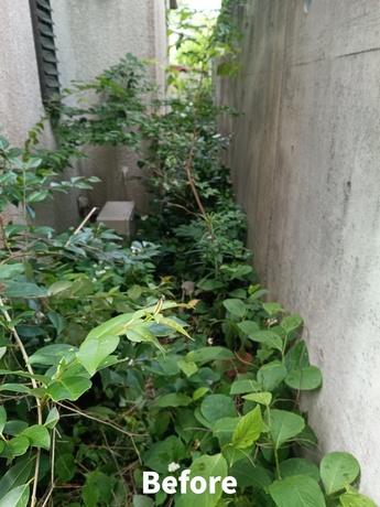 仙台市太白区で自宅脇の草むしり作業前|砂利部分に雑草が生い茂った様子