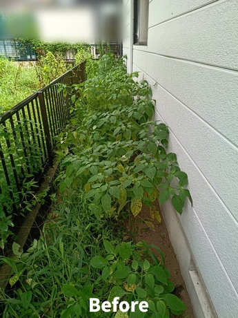 仙台市内のご自宅脇に生い茂った雑草・草むしり作業前