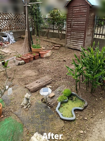 物置周辺の草むしりを行い見通しが良くなった作業後の様子|仙台市内