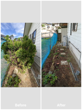 仙台市で庭木の伐採と不要な植栽の撤去を行い、すっきり整えたBeforeAfterの比較写真です。