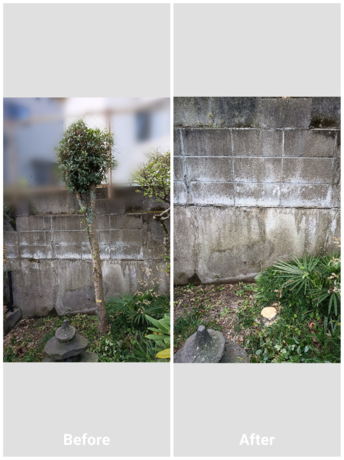 仙台市で庭木の伐採作業を行い、不要になった樹木を根元から切り倒してスッキリと片付けた Before/After の比較写真です。