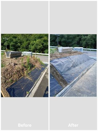 仙台市で庭木の伐根作業を行ったBefore/After写真。古い根株を撤去し、地面を整地してスッキリとした状態に仕上げた様子です。