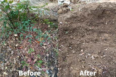宮城県内のリピーター様宅にて行った庭仕事・伐根作業のビフォーアフター。複数本の切り株を伐根し、庭を使いやすい状態に整備