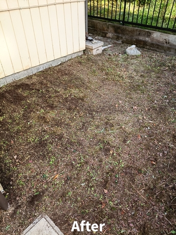 仙台市太白区で対応した家裏スペースの草むしり作業後の様子。雑草を除去し通路部分が見やすくなった状態