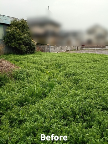 仙台市太白区での広範囲の草刈り作業前の様子（雑草が生い茂った状態）