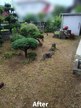庭の草刈り作業後の様子｜仙台市太白区でお庭全体をきれいに整えた施工事例