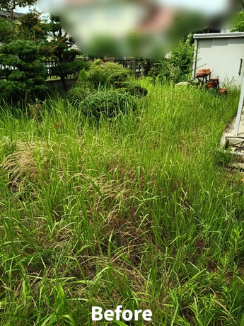 庭の草刈り作業前の様子｜仙台市太白区で雑草が伸びたご実家のお庭