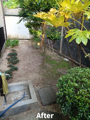 仙台市太白区で対応したご実家奥側スペースの草むしり作業後の様子。雑草を整理し歩きやすく管理しやすい状態に改善した様子
