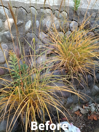 擁壁の割れ目から雑草が生えている清掃前の状態|仙台市太白区