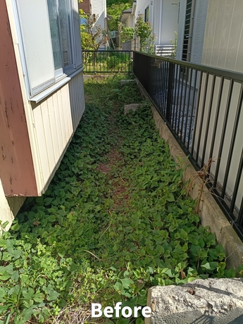 仙台市太白区で対応した建物脇の草むしり作業前の様子。隣家付近まで雑草が広がっている状態